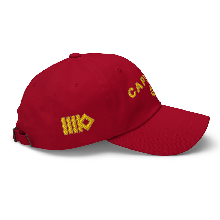 Must have hat with embroidery, Captain - IamSEAWOLF shop