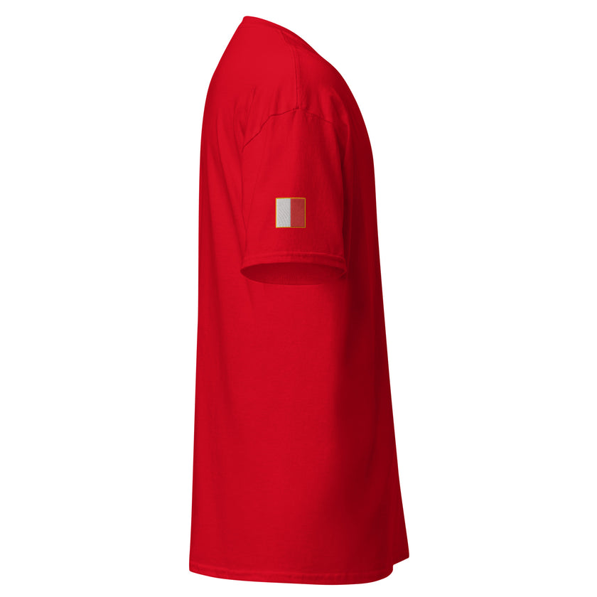 T-shirt with large centre and sleeves embroidery PILOT - IamSEAWOLF shop