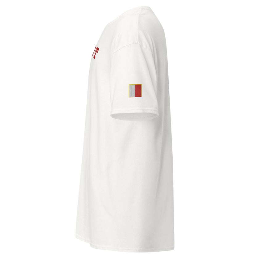 T-shirt with large centre and sleeves embroidery PILOT - IamSEAWOLF shop